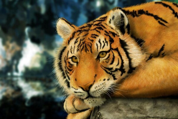 Животное тигр
