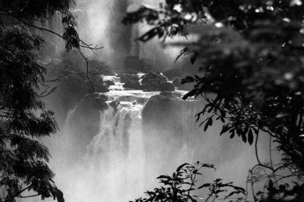 Водопады Игуасу черный и белый