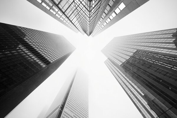 Торонто небоскребов черный и белый
