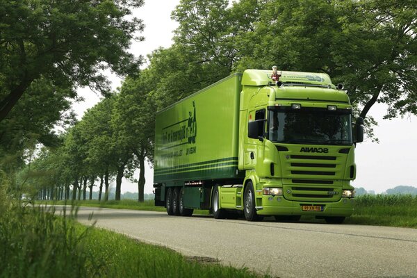 Scania скания scania trucks р500 truck green грузовик,