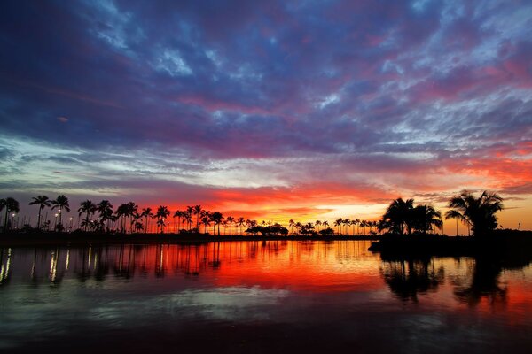 небо вода sunset hawaii пальмы