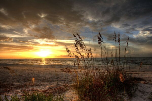 закат трава песок море природа