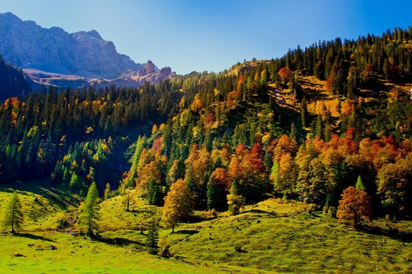 Австрия осень небо деревья тироль холмы горы карвенде