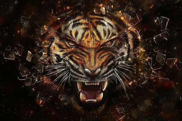 Tiger фоны
