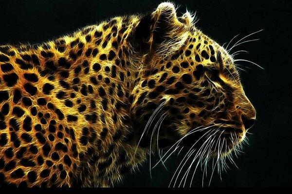 леопард цветная