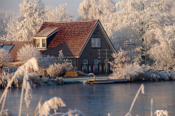 домик у озера зима водоём дачка зимой