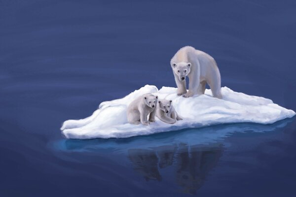 Белые медведи плывут на льдине