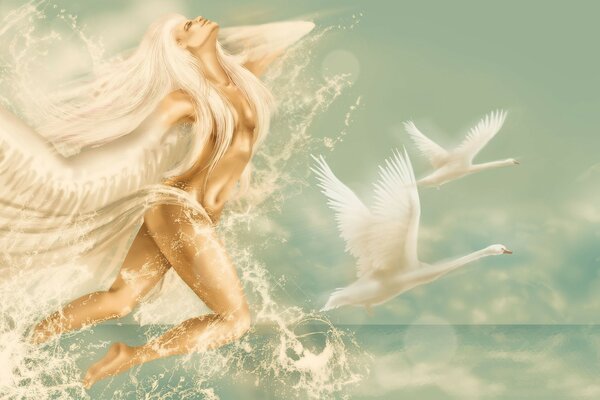 Лебеди,вода,ангел