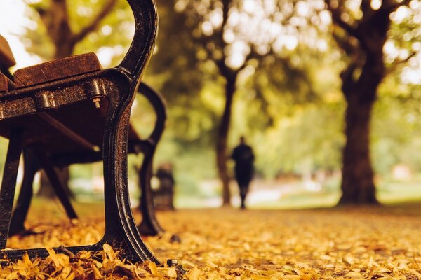 Осенний парк,скамья,листва