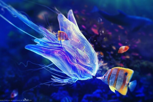 Прекрасный подводный мир с рыбками и медузами