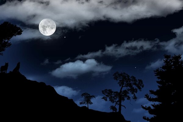 Ночь, луна,скала, волки