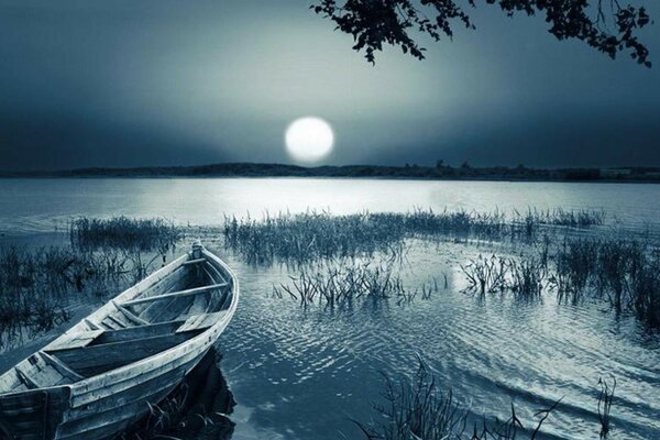 Ночь, река, камыш, лодка