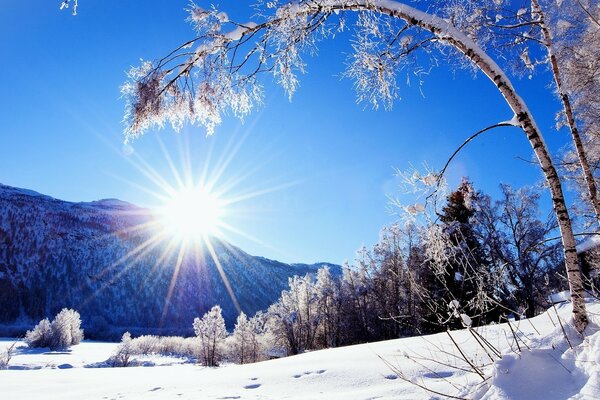 Солнце восходящее из-за гор зимой