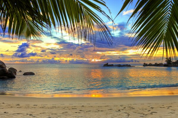 Закат солнца, вид на бухту, пальмовые листья