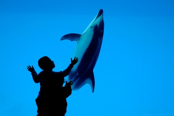 Дети и дельфинов