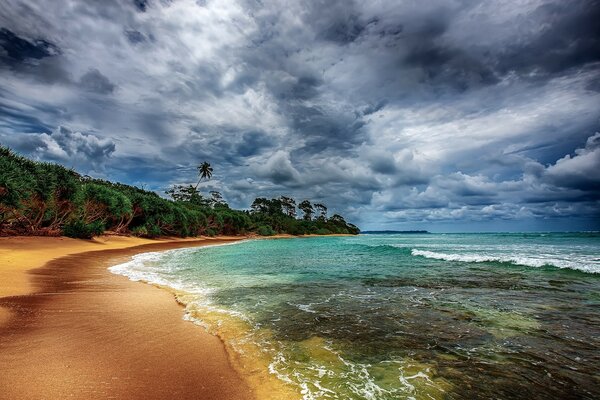Тропический побережье с прекрасным пляжем