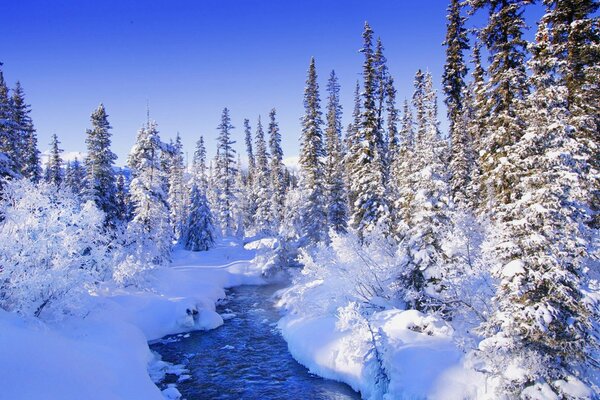 Зимний лес, ручей, снег