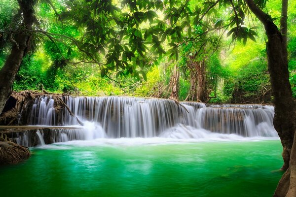 Зеленый тропический водопад