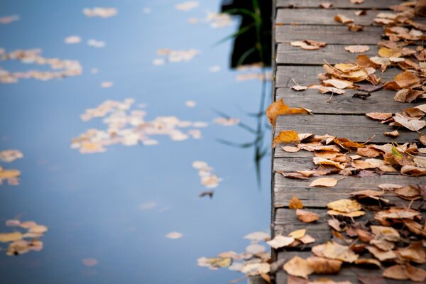 Осенние листья на деревянный мост