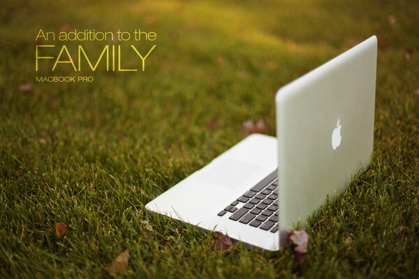 macbook pro яблоко ноутбук трава