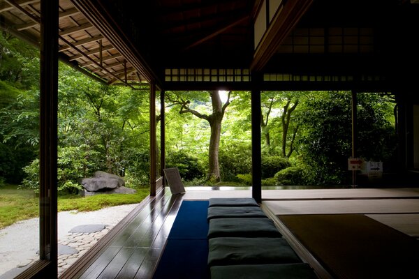 лес храм деревья дзен тишина релакс медитация поиск дом