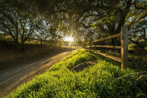сша калифорния ранчо санта- роза деревья дорога забор солнце лучи