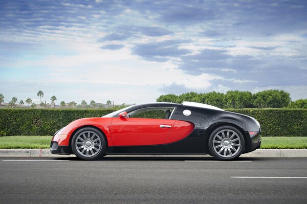 bugatti veyron великий спорт красные черный