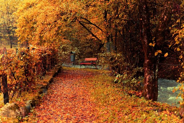 осень парк деревья листья желтые дорожка ограда скамейка лавочка ручей