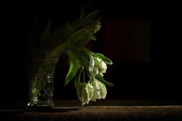 ваза букет тюльпаны белые фон черный