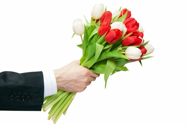 белый фон рука букет тюльпаны цветы настроение