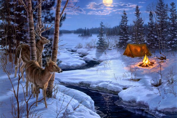 даррелл буш moon тени живопись зима снег животные олени луна ручей палатка костер огонь топор ель