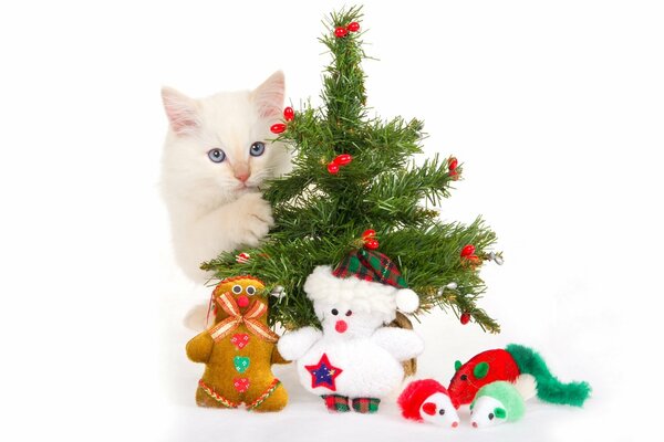 котенок елка игрушки сувениры белый фон