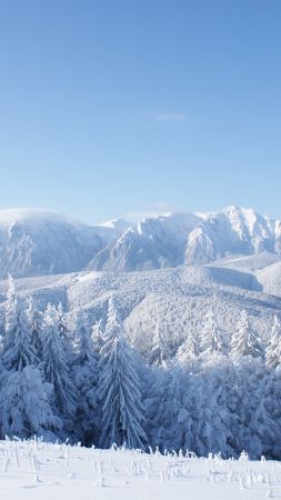 горы, зима (vertical)