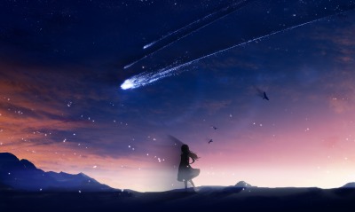 небо звезды ночь девушка