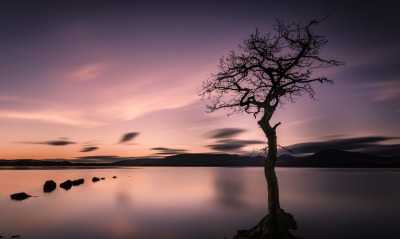 сумерки озеро дерево небо