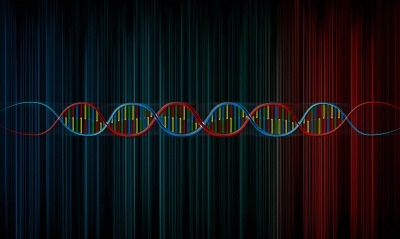 спираль линии ДНК