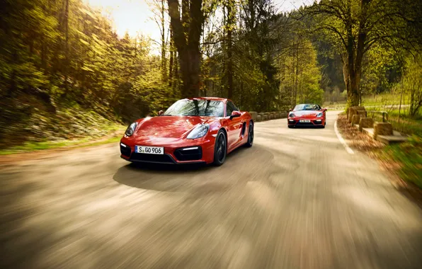 Обои Coupe, 2014, каррера, 991, порше, Porsche, 911, GTS, Carrera 4
