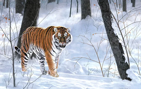 Обои животные, зима, живопись, Emperor Of Siberia, тигр, тайга, лес, Charles Frace