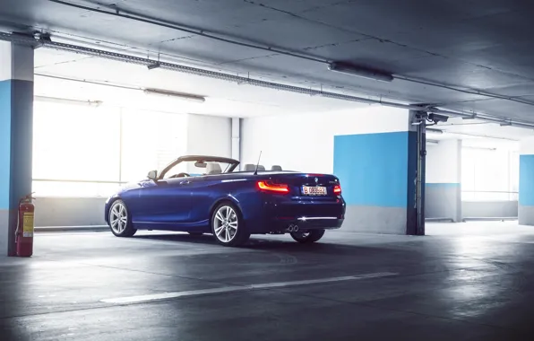 Обои German, Car, Garage, Cabriolet, Blue, 220D, Rear, BMW