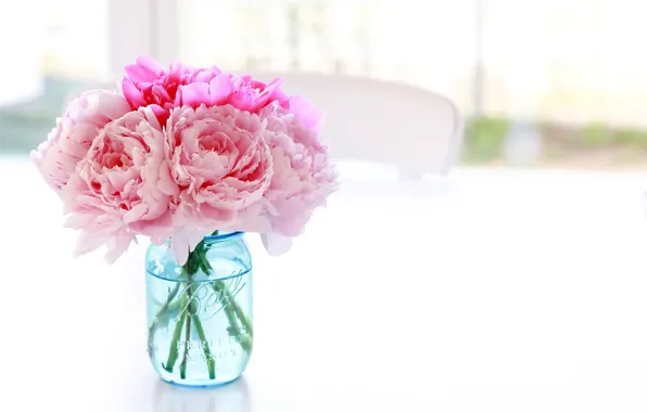 Обои ваза, цветы, стол, фон, банка, белый, баночка, пионы, розовые, голубая, стул