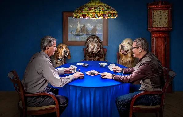 Обои карты, мужчины, игра, покер, фишки, собаки, часы