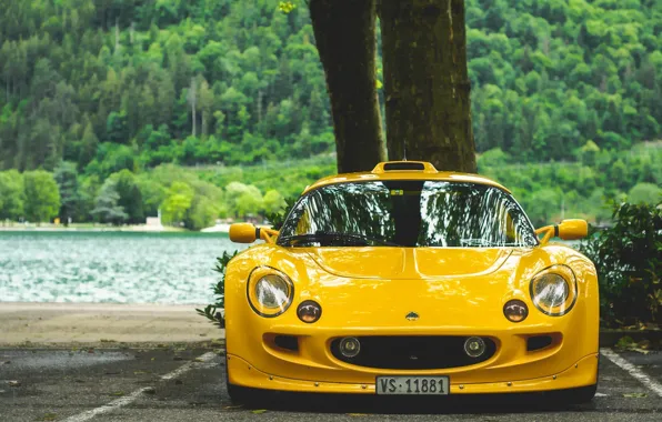 Обои жёлтый, Lotus Exige S1, Lotus Exige, спорткар