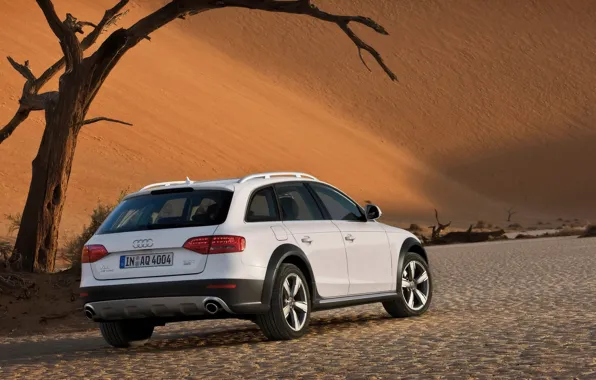 Обои Allroad, белый, пустыня, Audi