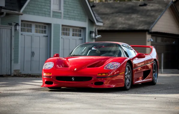 Обои F50, 1995, суперкар, феррари, Ferrari