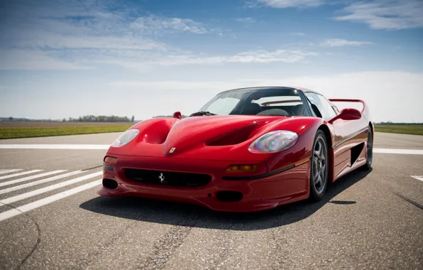 Обои F50, red, nice, car, supercar, Ferrari, beautiful
