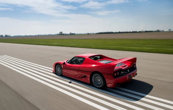 Обои красный, автомобиль, F50, скорость, speed, car, Ferrari