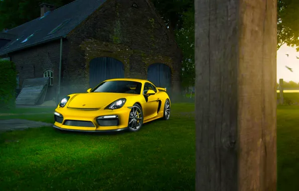 Обои Color, Yellow, Summer, Porsche, Front, Cayman, Supercar, GT4, Grass