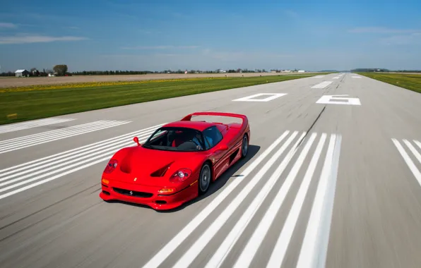 Обои red, феррари, скорость, Ferrari, speed, F50, мчится, car, авто