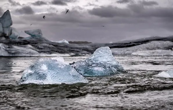 Обои айсберг, льдины, шторм, море, чайки