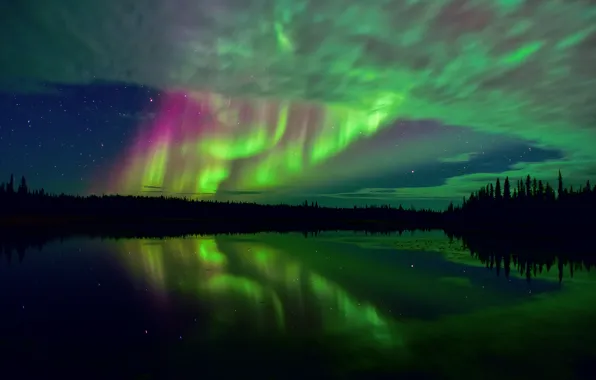 Обои лес, небо, звезды, отражения, ночь, озеро, выдержка, арктика, тундра, северное сияния, Северная Канада